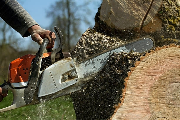 Emergency Tree Removal