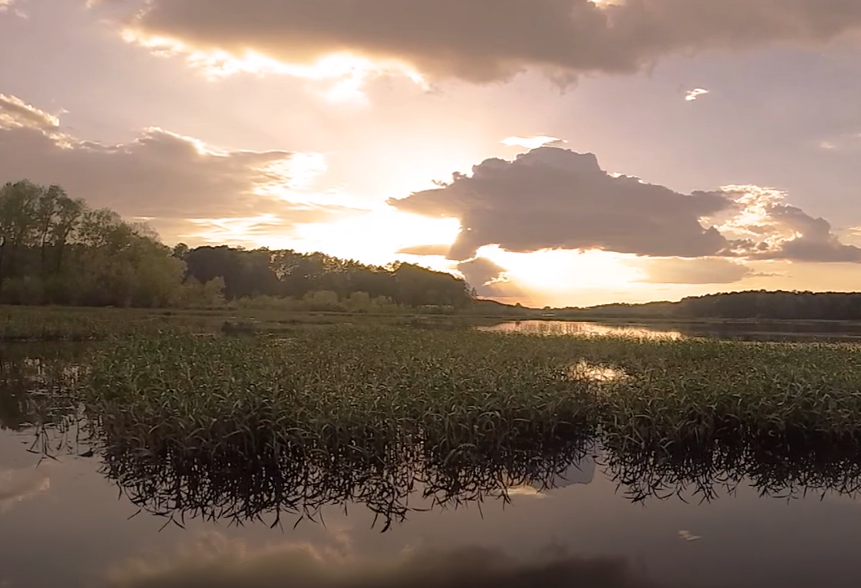 Sunset over Lake Acworth shoreline with dense vegetation